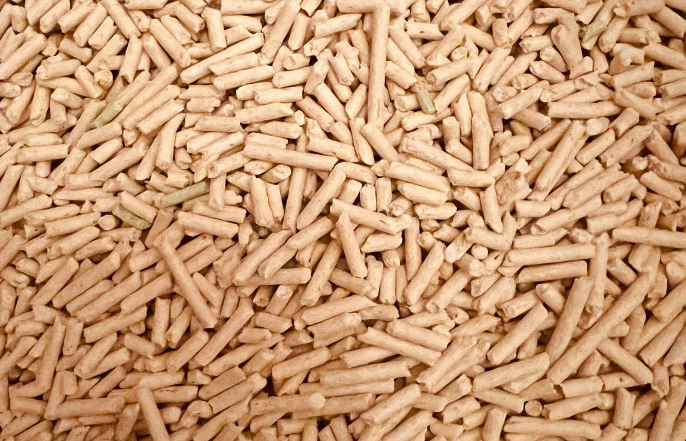 pexels-curtis-wong-782833963-19757403