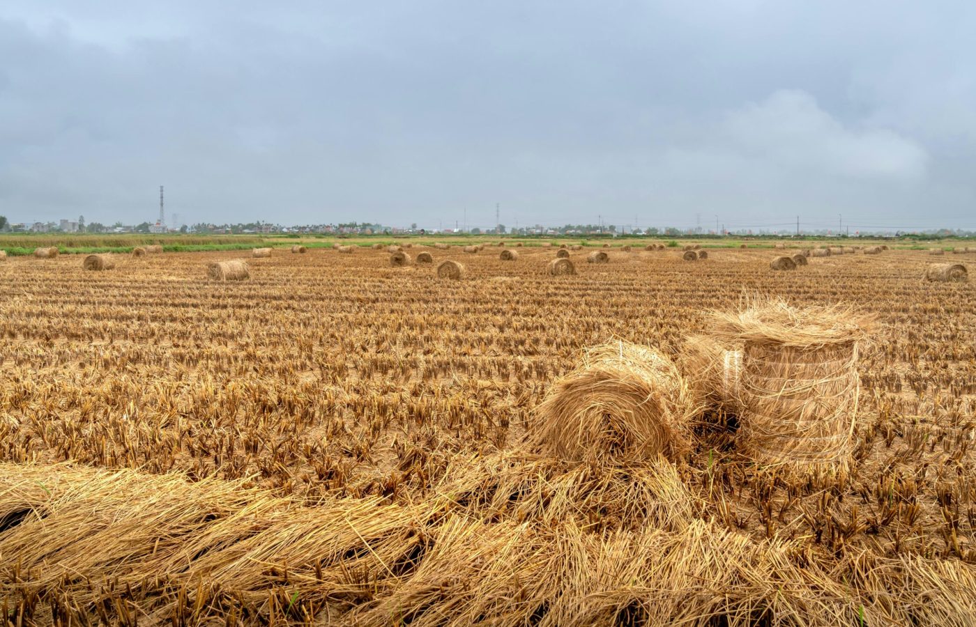 pexels-quang-nguyen-vinh-222549-14021761